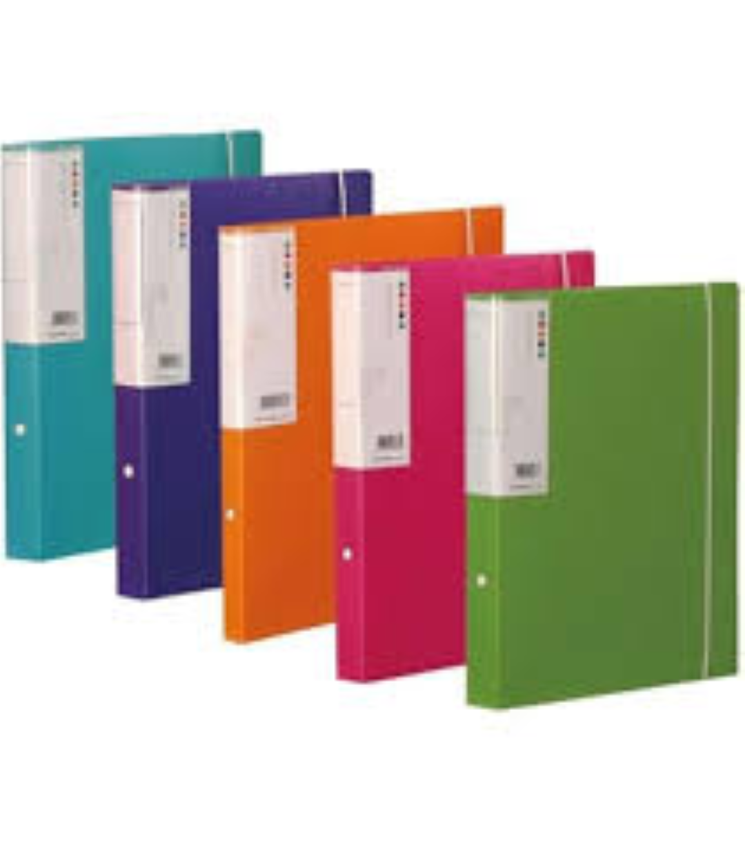 Foldermate 1" 2ring binder A4